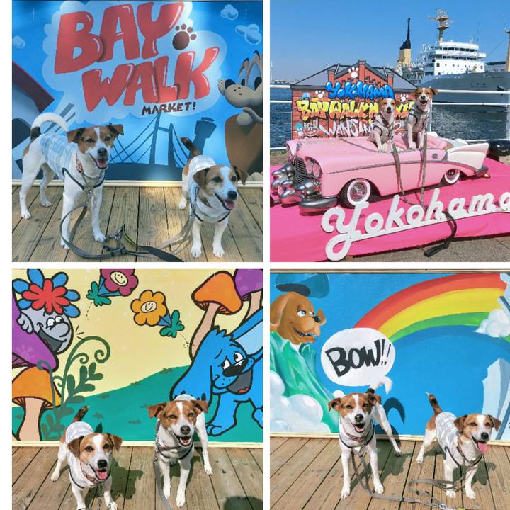 Fbb53db9 c511 49de a861 df05259049b8 1774084350165