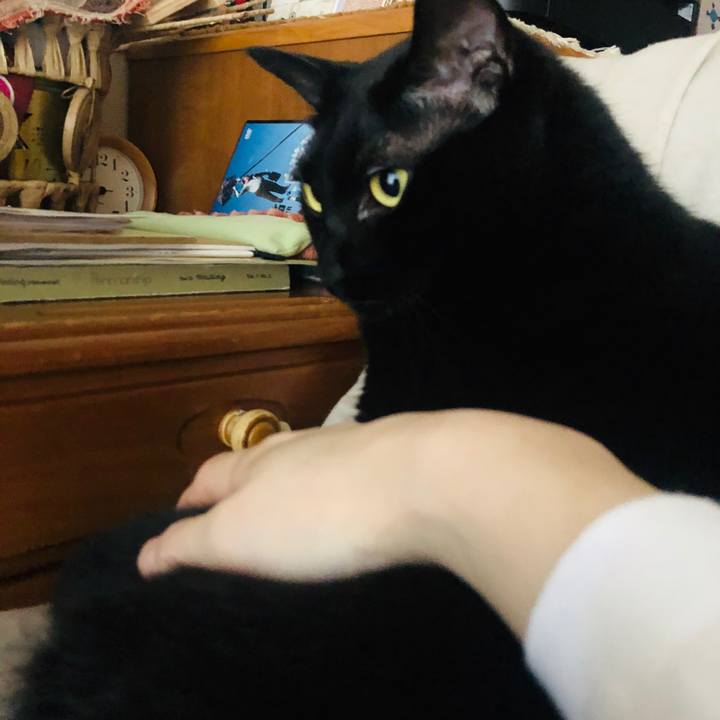 Fbb551dd 4966 4f9e 9034 1ea8bf4321c1 1571726112091