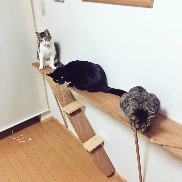 Fbb57cef 04be 49e5 9088 157db34b8ada 1517975577752