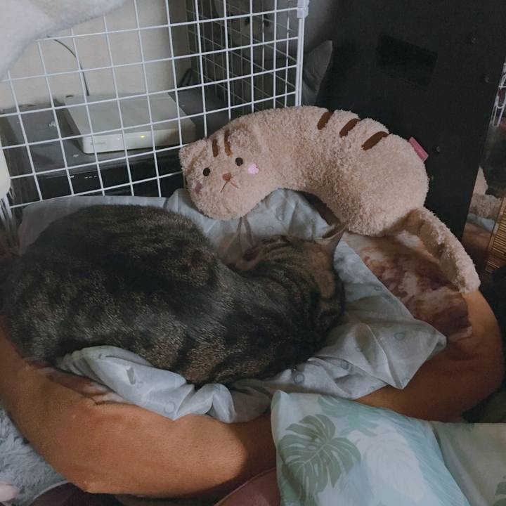 Fbb5804e 83a2 4abb ac05 9452347a0d7c 1560573898850