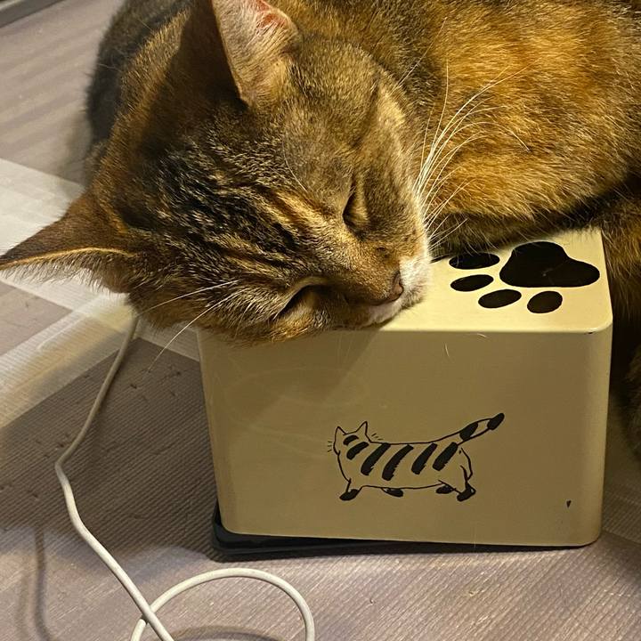 Fbb5b18e 7a48 4939 a47c 343e2508b824 1625487779886