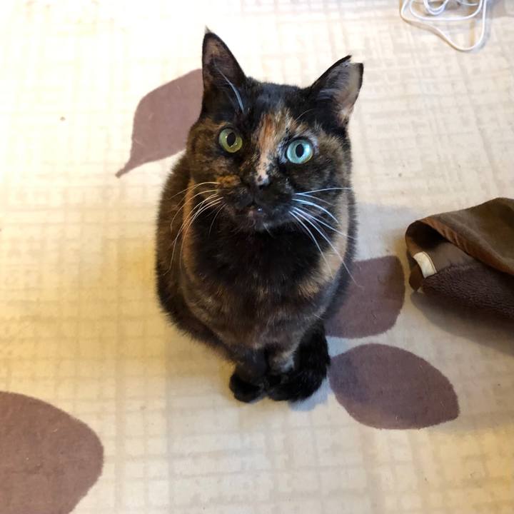 Fbb5d185 88bb 417a 9199 d88738e489ea 1645841353198