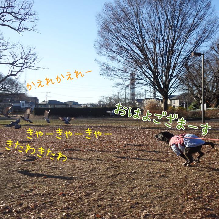 Fbb5f448 4341 493f 9387 8e13c1a4164d 1703297368524