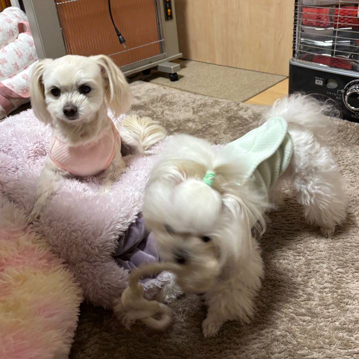 Fbb617d4 92b7 4d7f a585 517250441b08 1768899831708