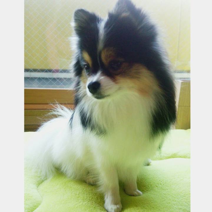 Fbb61b08 c66a 4c61 bb6a 837ff56bb1a6 1512259376177