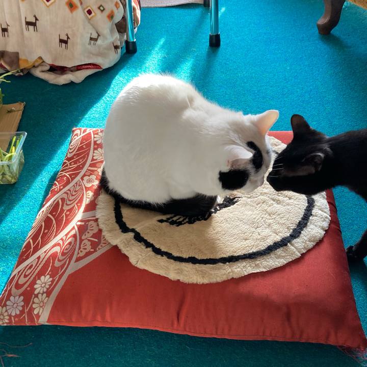 Fbb6213c 0280 44f6 9ee5 4d12e9535e78 1648024126303