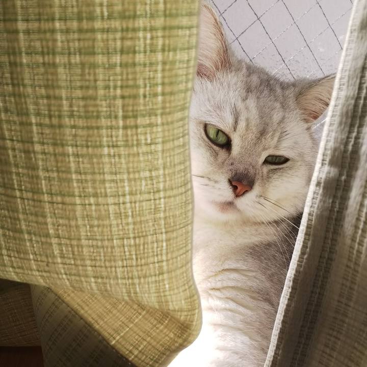 Fbb63a04 b3c6 4614 a1a0 210b1692a67a 1524699599791