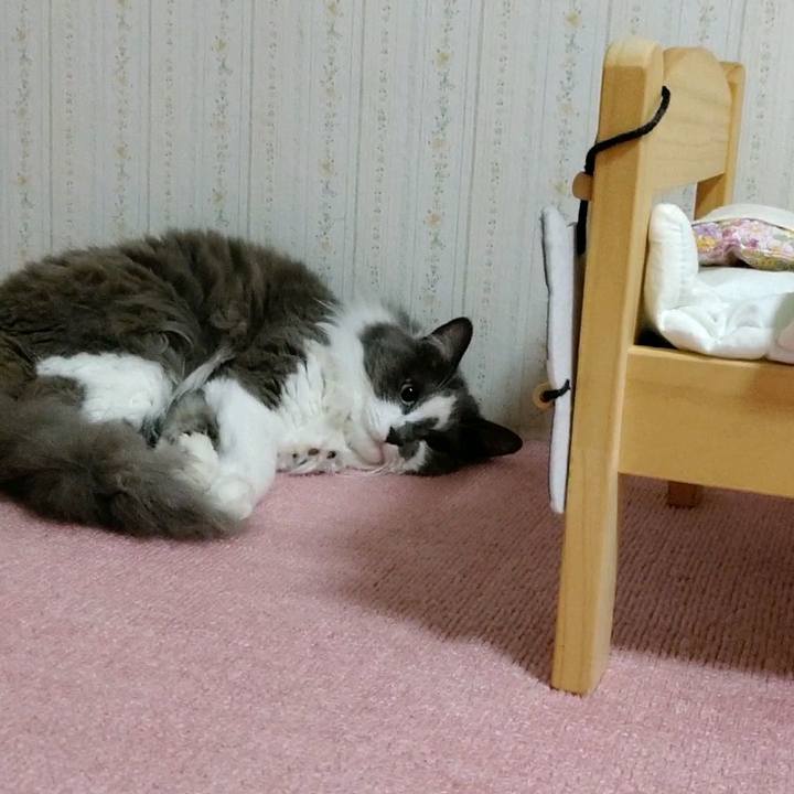 Fbb69bf5 9c5c 4587 9bb6 5f3282901973 1592711383372