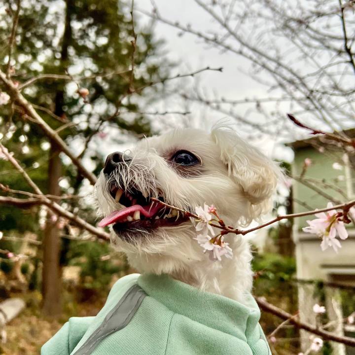 Fbb6ae57 7b10 416e 89da 9780a328f0a5 1673855018872