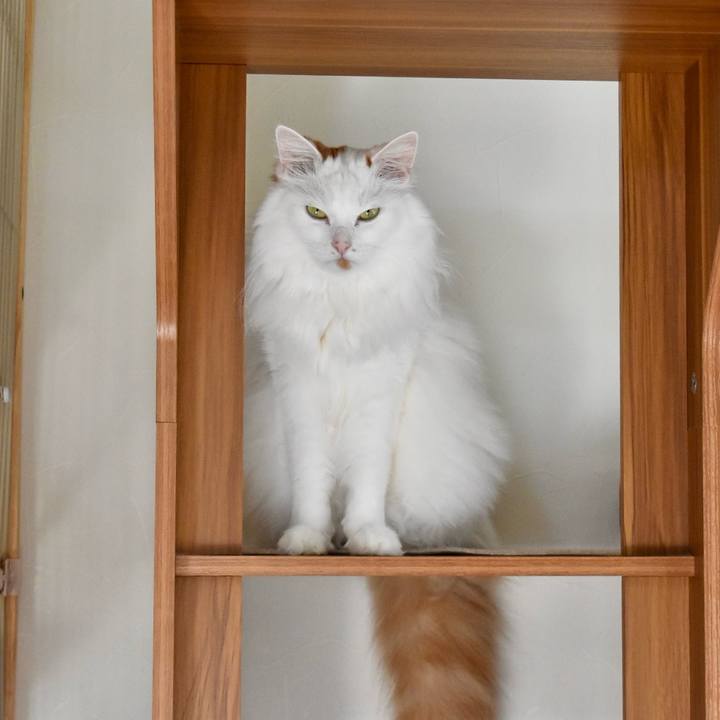 Fbb74384 99df 4208 9167 d8403d23cbae 1763860705639