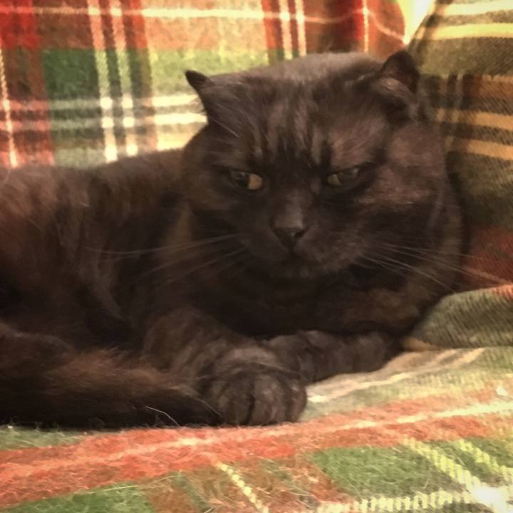 Fbb74581 0a2a 424d b602 3a12d097f320 1524677336218