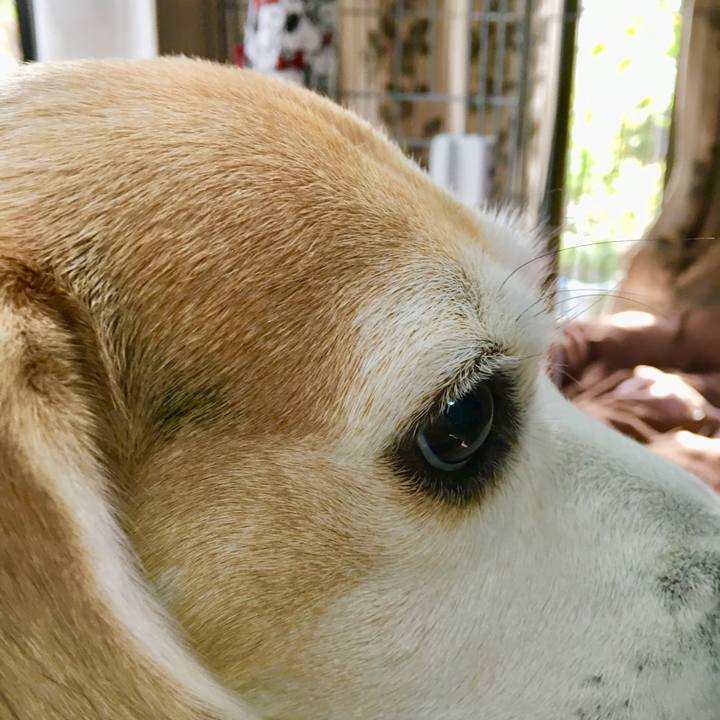 Fbb764d0 4c1a 4752 b0db 7a2775c8b2a9 1539499051855