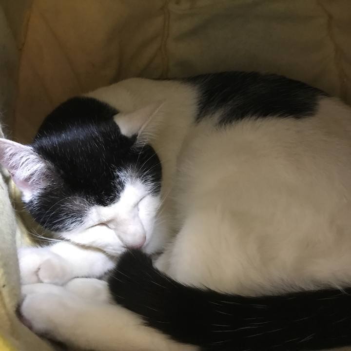 Fbb793c3 2303 4916 a48b 383cd114582e 1522847242653