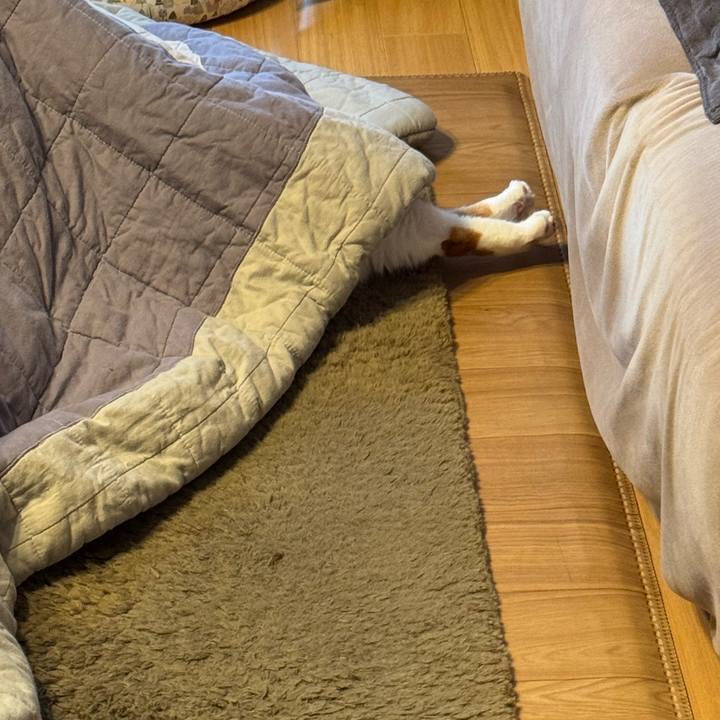 Fbb7bb07 b371 4159 8c0b 6323f36fd5dc 1761983428530