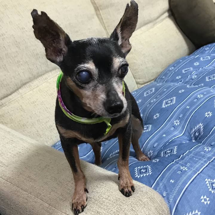 Fbb7c456 47bf 4453 875d 0ee884ad0323 1561162151703