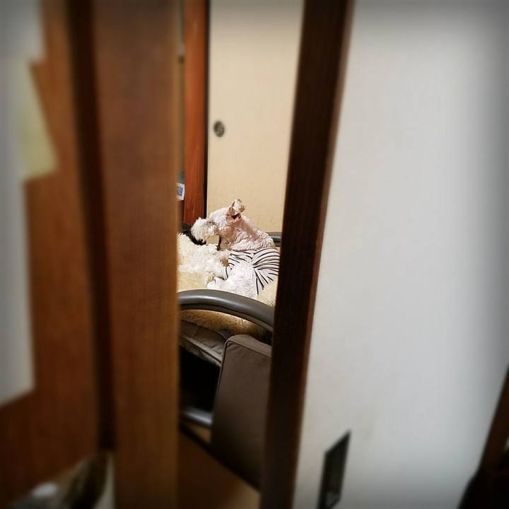 Fbb7c74f a686 4aaf 9b5c 22785ab59de0 1517353369748