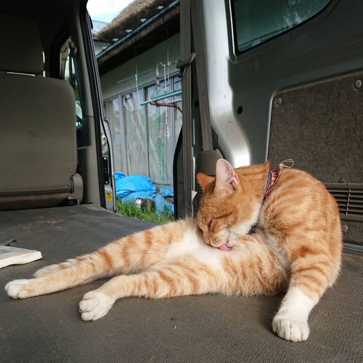 Fbb7e8bf aa5c 4c8d a50d 3621ae0a73d7 1566080921290