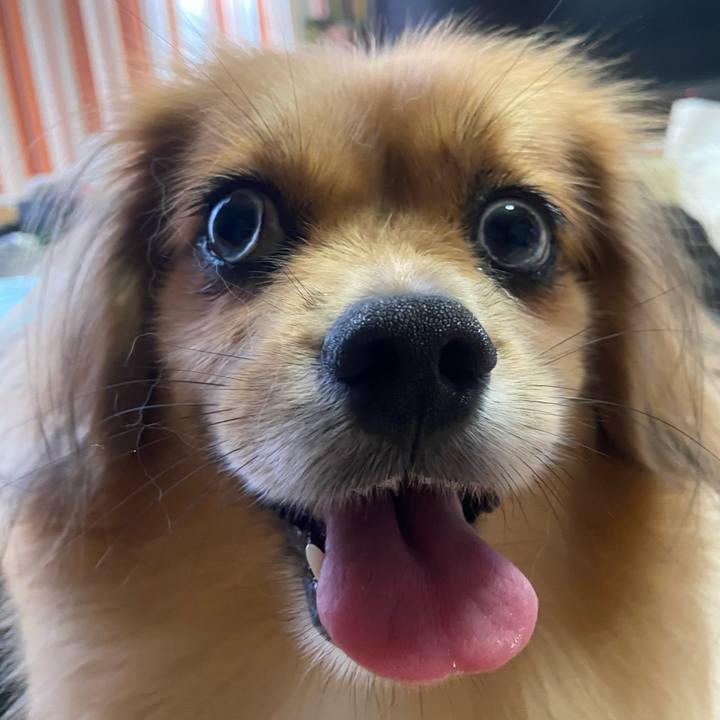 Fbb88a28 d52e 4fca af92 01a3999c5b3a 1599083341898