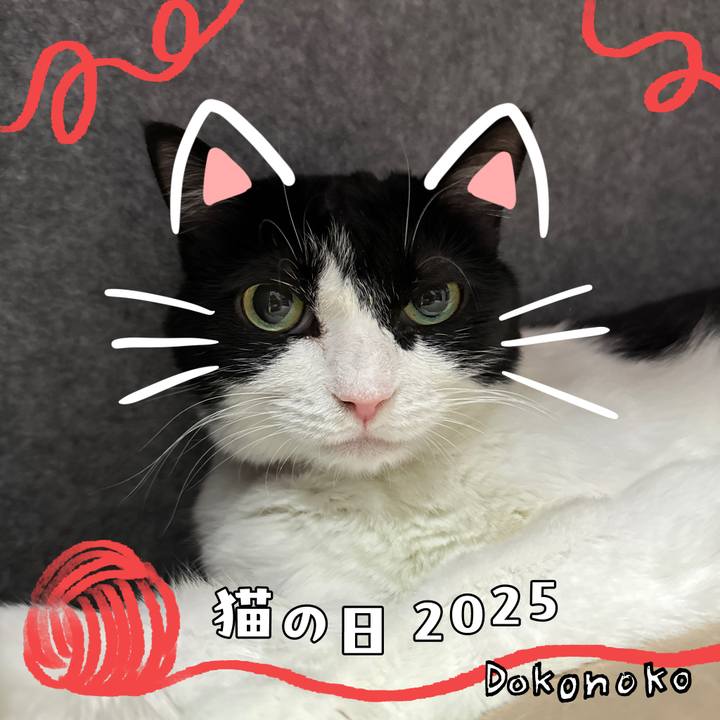 Fbb898aa 4b7c 4f08 89c9 08847375b322 1740203989002