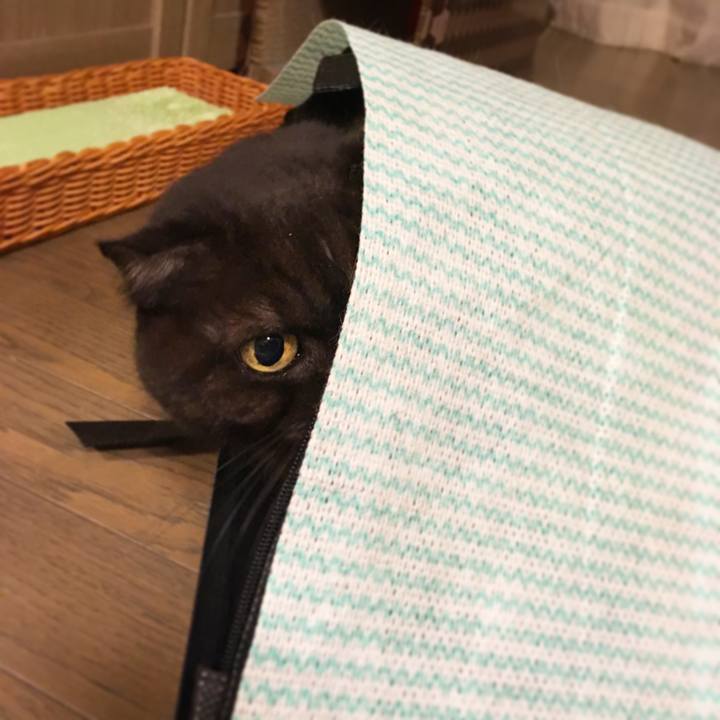 Fbb9039b 54be 4d04 b3b1 b5809c25db36 1514480571281