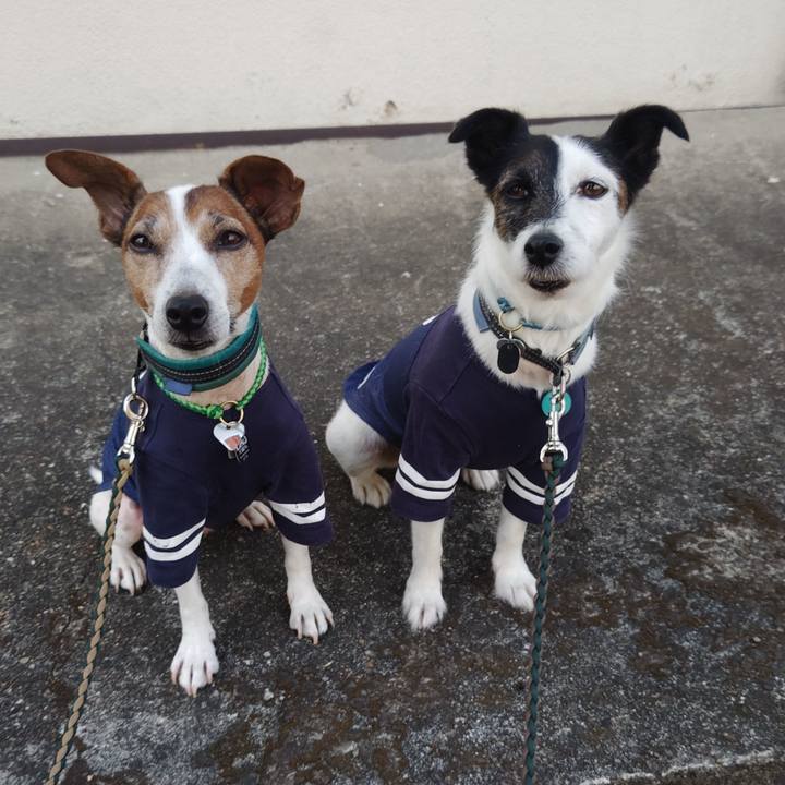 Fbb918e3 cbd7 4ab8 8c2b 9b1db34399fb 1755812859197