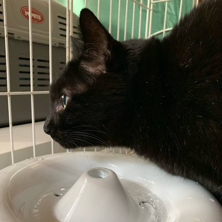 Fbb93d44 19e9 4223 9531 57dabf30bcef 1584062309574