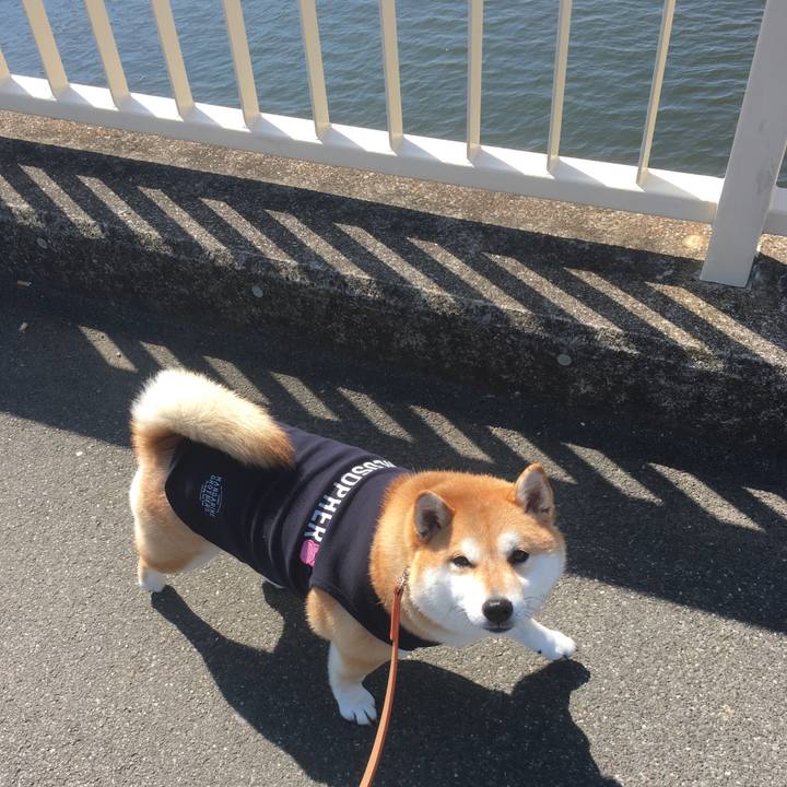 Fbb93d6c 46ef 4cc8 b128 7f7b32d4f21f 1552104416344