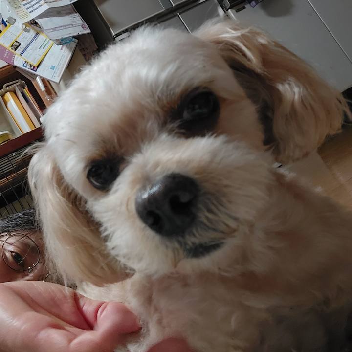 Fbb94e32 14f3 46aa 8e58 e18f78f4c4af 1634096548676