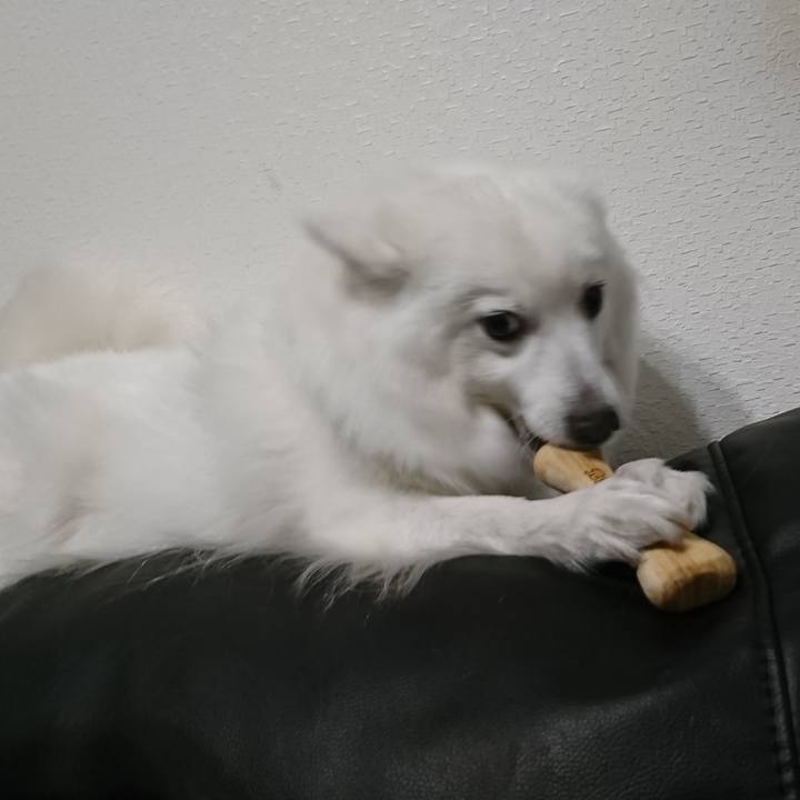 Fbb95afd 123d 4f81 9e3c 02b6b9c5e74a 1616779957125