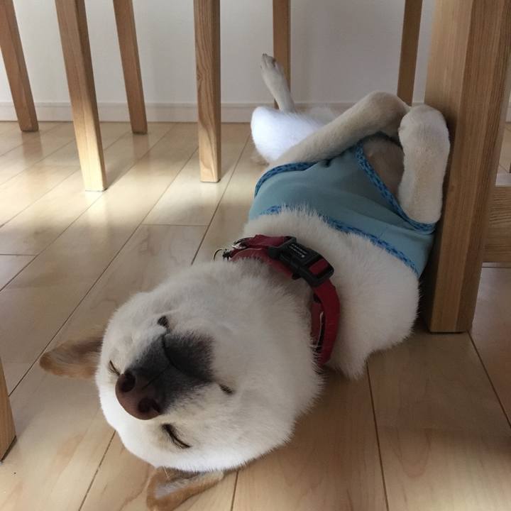 Fbb988c0 95f7 49d4 9fc0 cdf119deed68 1529674759633