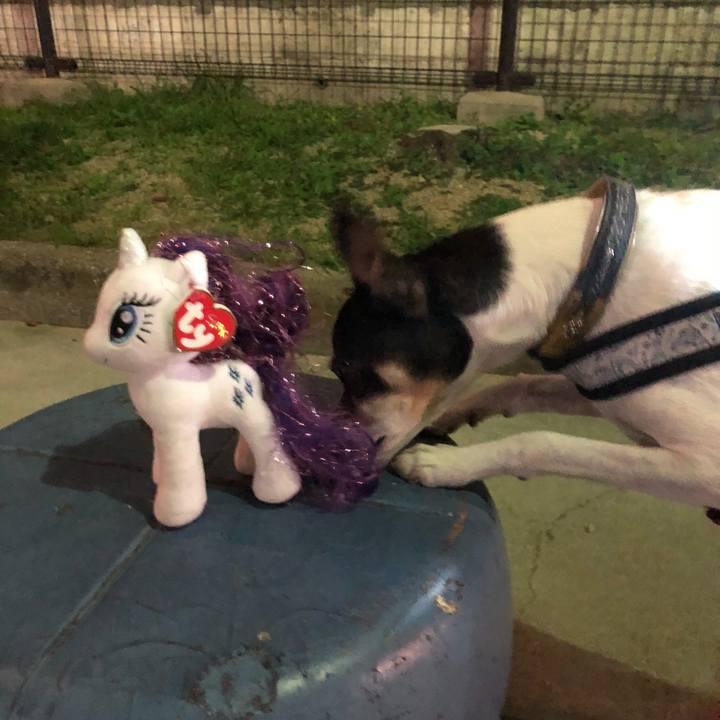 Fbb99728 d302 4088 b95d 4a191ed7221e 1539952969777