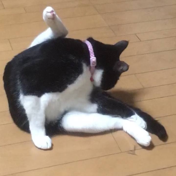 Fbb9ab85 8a4a 4663 82e3 3eaf9149dc9d 1618371620764