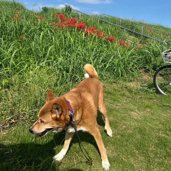 Fbb9c991 9711 45a1 88b7 f68344f72c03 1758980193538