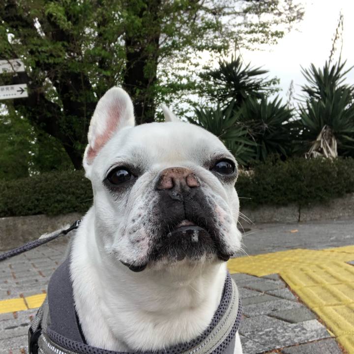 Fbb9fb2b 7c09 4c78 8593 5f0a94658bab 1680862826245