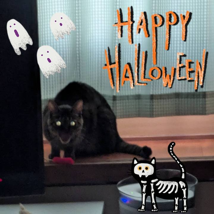 Fbba4ffc edc6 4c8c b9c5 b939d831db61 1761912308492