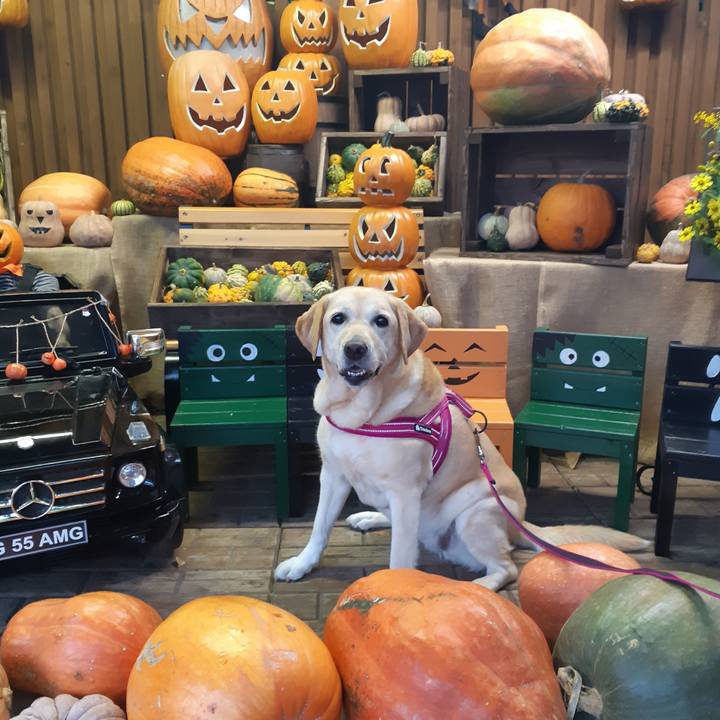 Fbba69eb 2a45 418e 984e 6631feb9b4e6 1633609931637