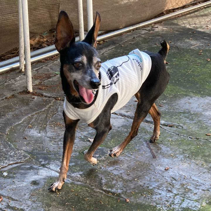 Fbba7462 9976 4169 9221 6bc2672e8e06 1685164863973