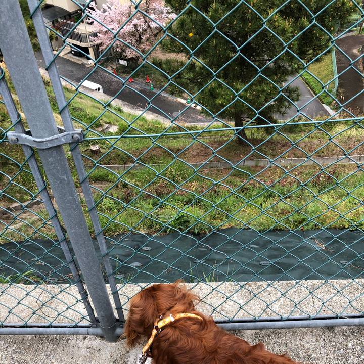 Fbbaed3a db40 4fe9 898d 31c49c7014d2 1617496057469