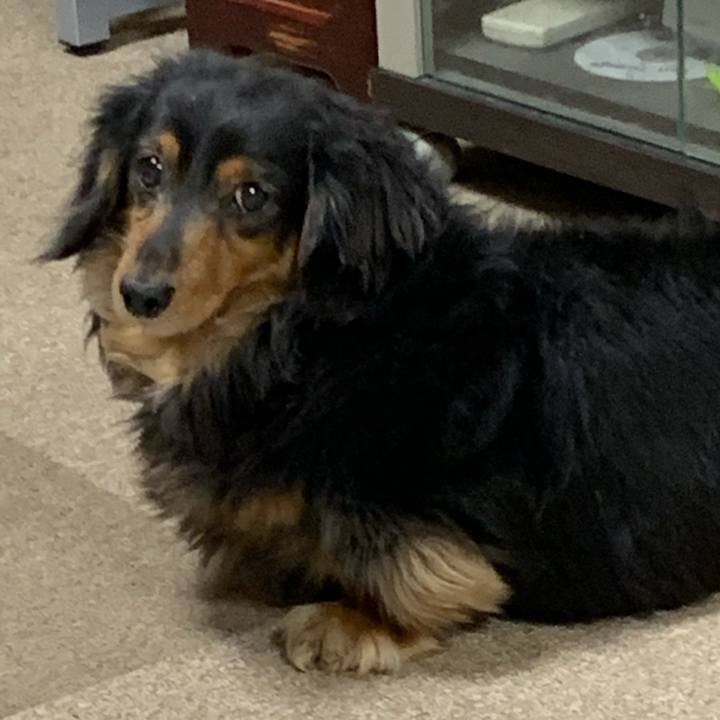 Fbbaf657 3f0d 49be a093 07deb66a34b9 1582581597916