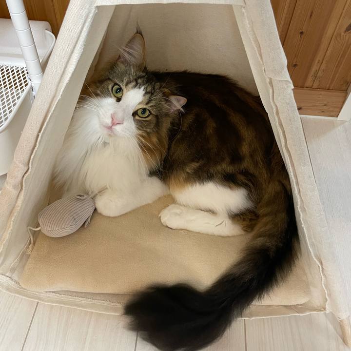 Fbbb1db7 92b9 4ea4 814f c7c3023fd07a 1666646729233