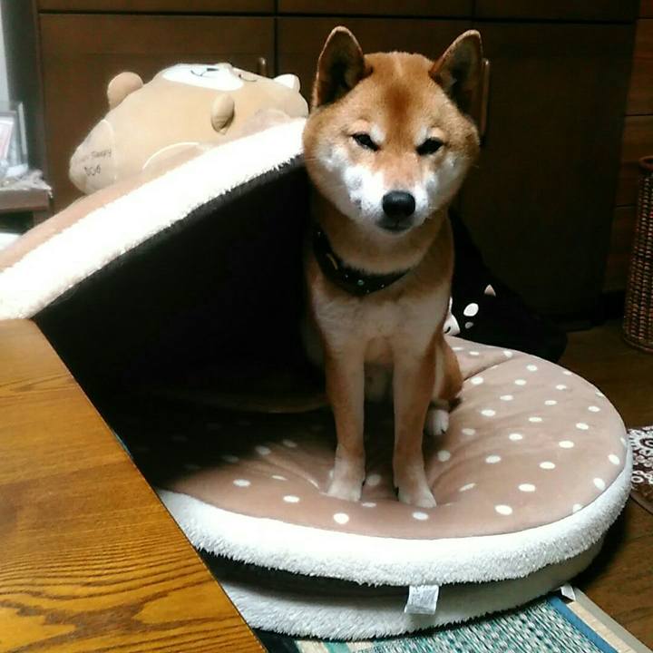 Fbbb1ea5 641a 46f5 9b38 ab4396fbbcfc 1551953351717