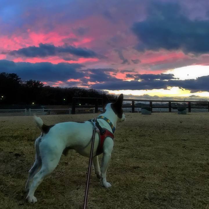 Fbbb8093 b52e 426c bd3f 611c869c902d 1513077128555