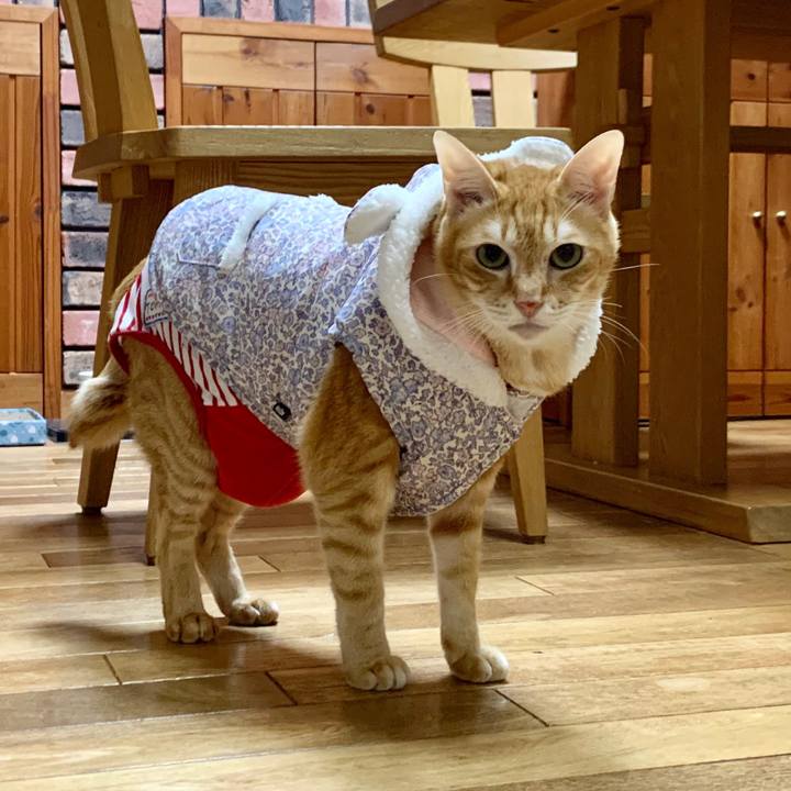 Fbbbc28b 122f 4a48 a7e1 28d07a3e39de 1580635379696