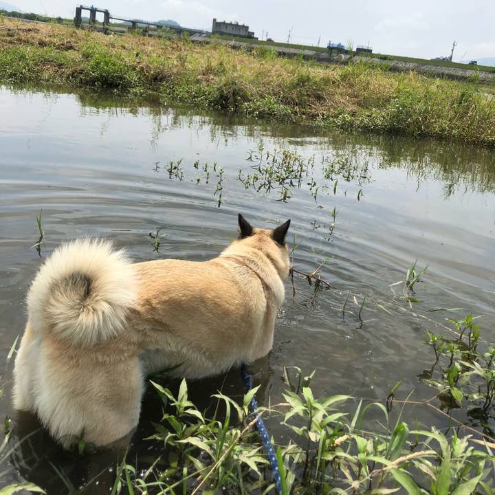 Fbbbe897 72ae 4344 9f3c 12546d4d96ab 1624795143169