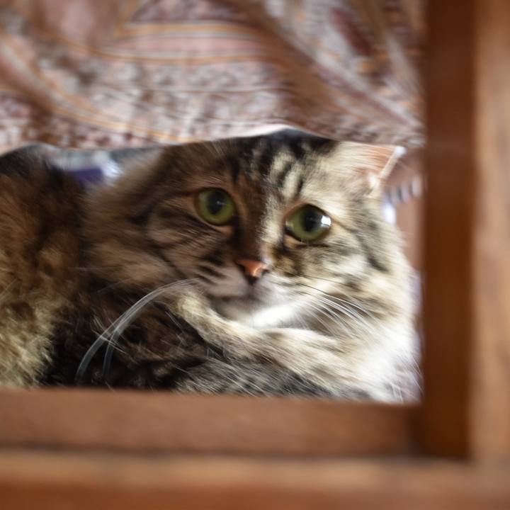 Fbbc10fb ae3f 4fc3 9bcb 4a3c7c2fa4f4 1753520470496