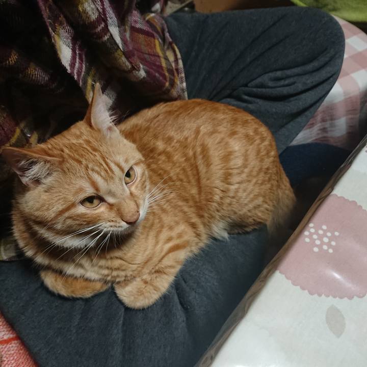 Fbbc27ab 1c9f 4036 8978 d914173bc8f2 1648292437588