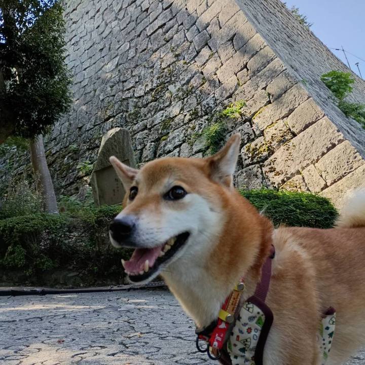 Fbbc3eac 5862 4f5a a9e0 b4b0967b1c88 1759844455621