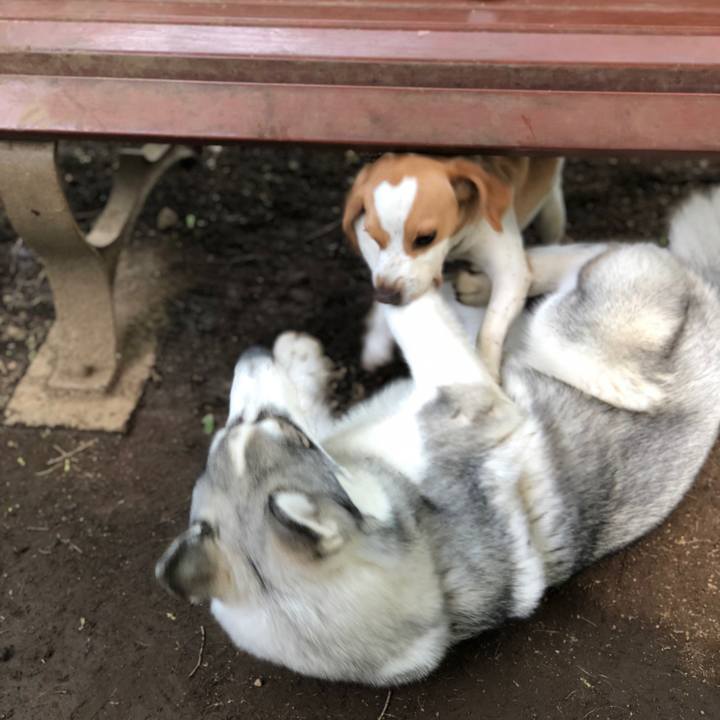 Fbbc5344 dad5 426d 874b 4bbdd69e3813 1556879074141