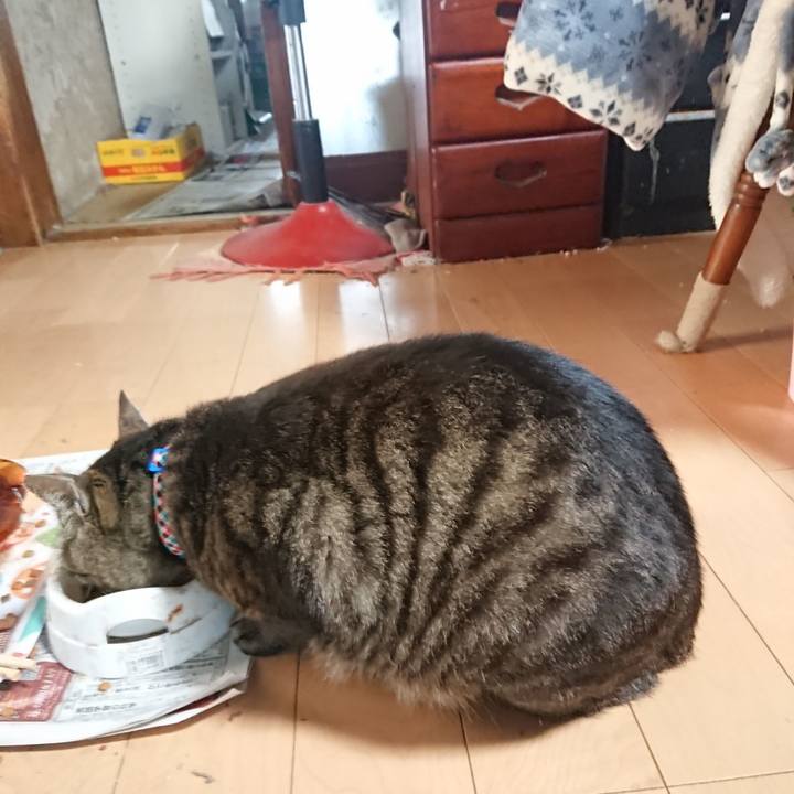 Fbbc7c5d 20ea 4324 a3a1 e3e64352b743 1655069934528