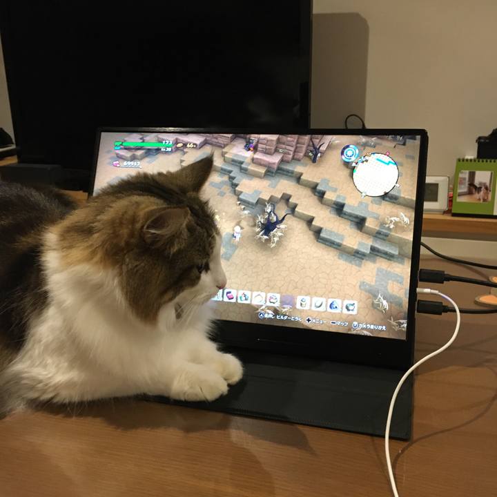 Fbbca4fc c5a5 4f57 a658 6642b5c42eef 1602941690327